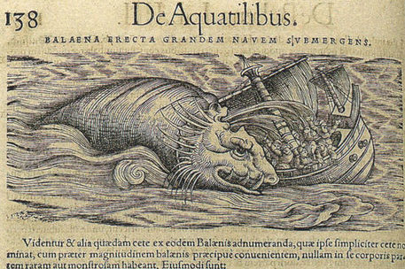 Gessner, Conrad (1516–1565): Historia animalia