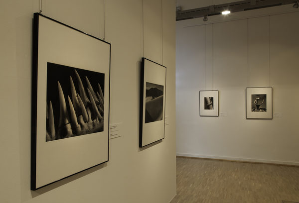 Blick in die Ausstellung zu Andreas Feininger (3) (Wird bei Klick vergrößert)