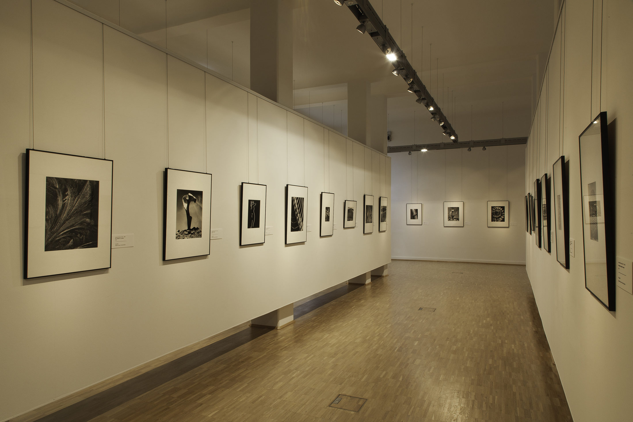 Blick in die Ausstellung zu Andreas Feininger (5)