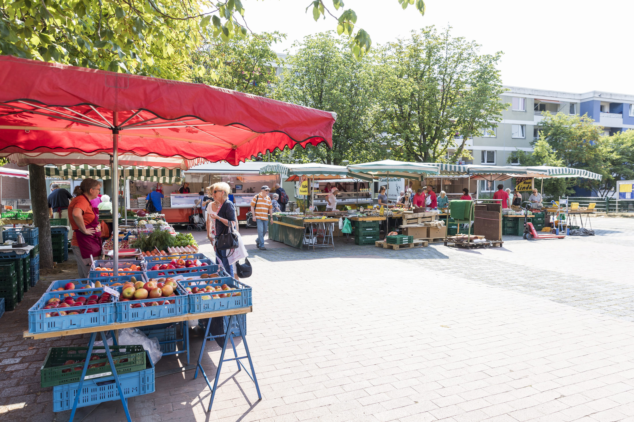 Blick über den Wochenmarkt Weststadt (Wird bei Klick vergrößert)