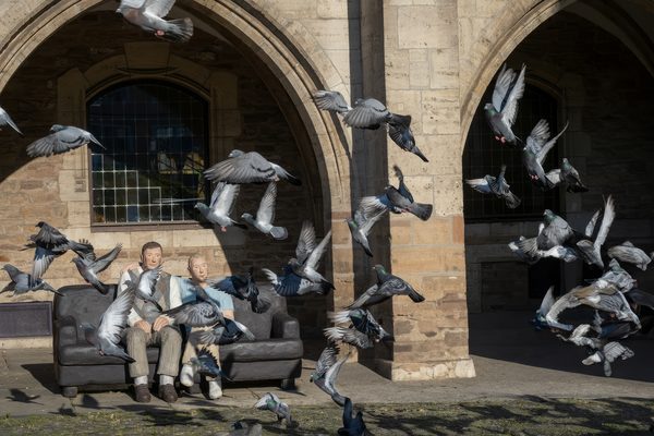 Eine Gruppe Tauben fliegt über den Rathausmarkt. (Wird bei Klick vergrößert)