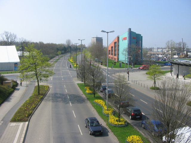 Frühjahrsblüher an der Theodor-Heuss-Straße