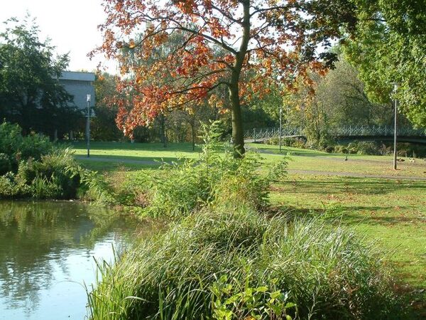 Teich im nördlichen Bereich (Wird bei Klick vergrößert)