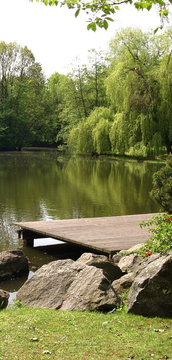 Südteich (Wird bei Klick vergrößert)