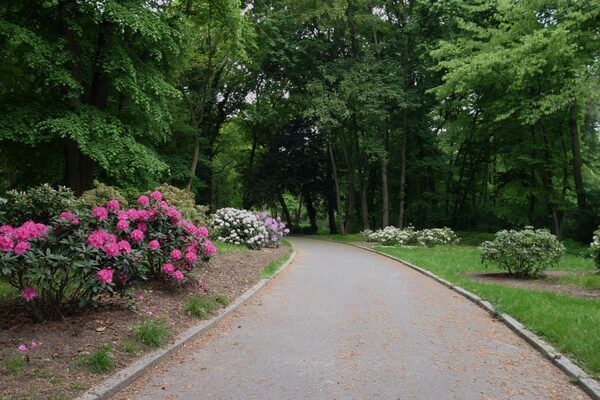 Weg im Richmond Park (Wird bei Klick vergrößert)