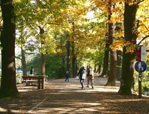 Herbststimmung auf dem G. Schriddeweg (Wird bei Klick vergrößert)