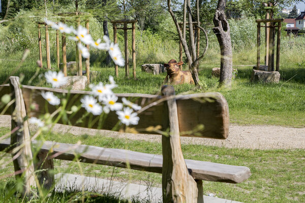 Jugendplatz Kälberwiese - Kälbchen im Gras (Wird bei Klick vergrößert)