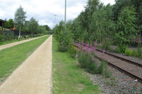 Westliches Ringgleis