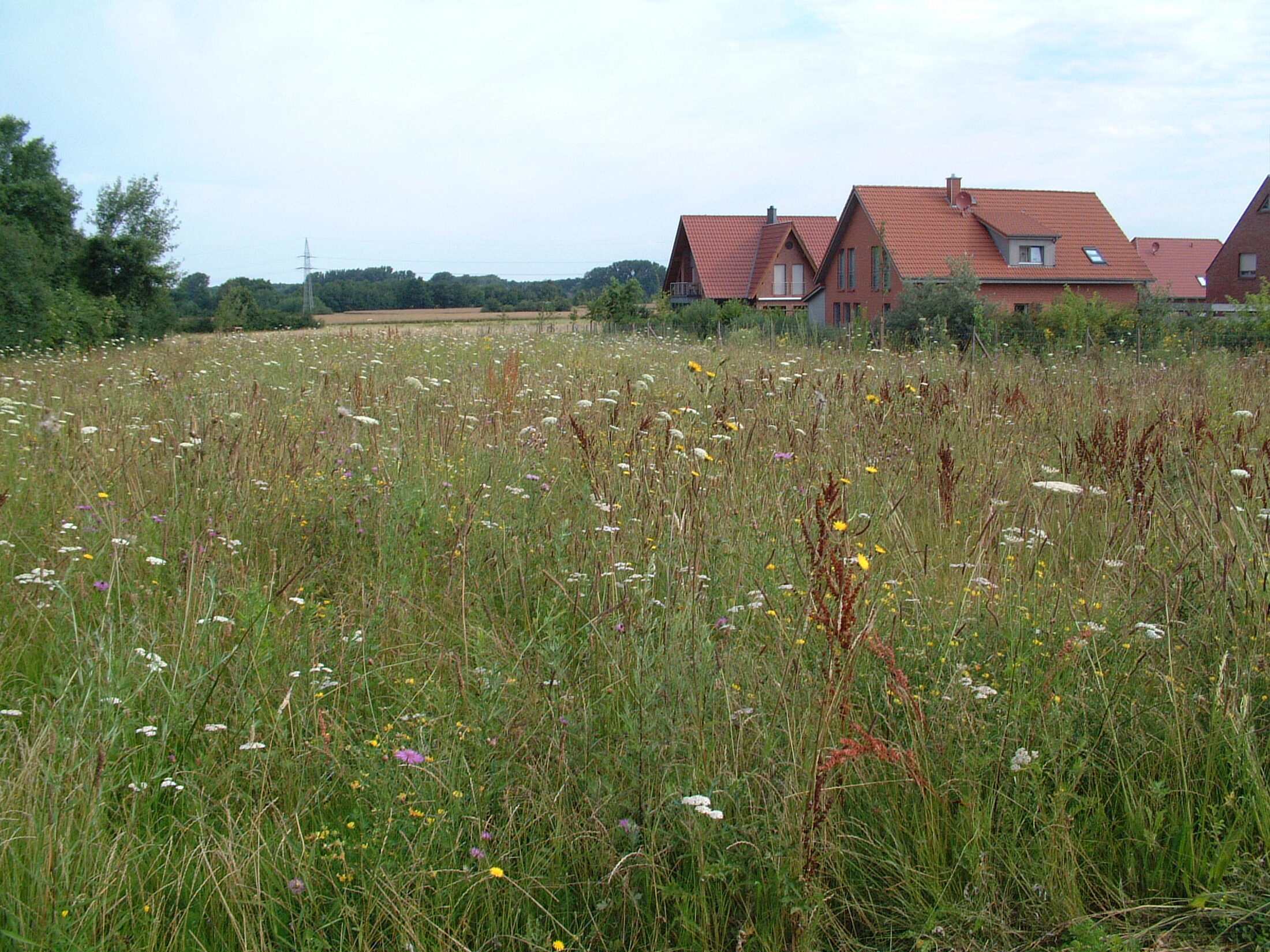 Blick vom Feld auf den Rand einer Siedlung (Wird bei Klick vergrößert)