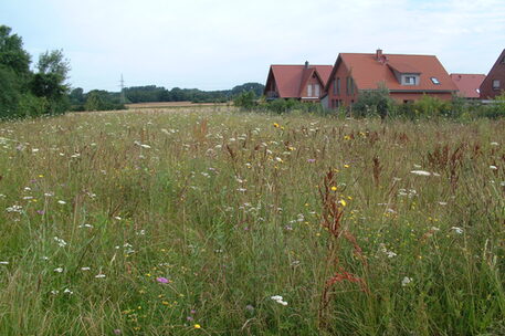 Blick vom Feld auf den Rand einer Siedlung