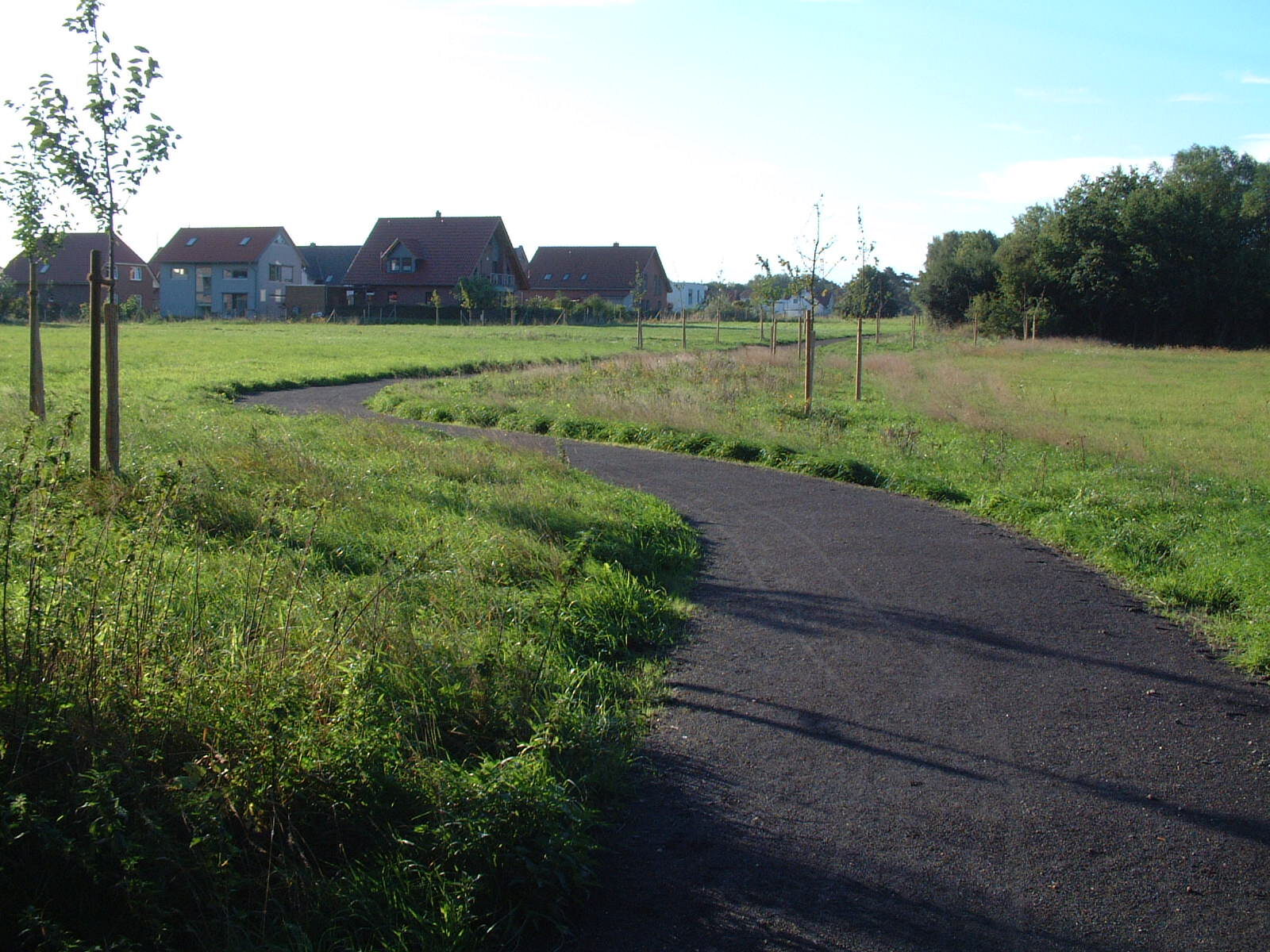 Grünzug Scharenbusch mit Anbindung an die Schunterniederung (Wird bei Klick vergrößert)