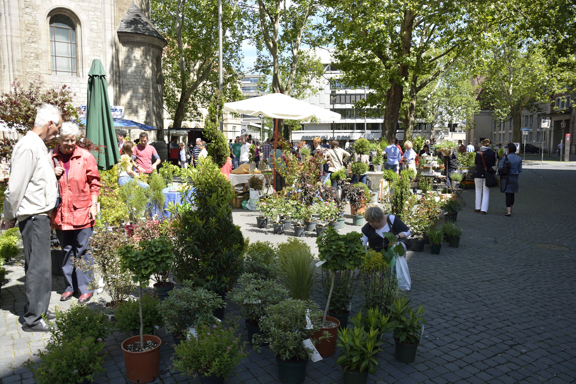 BBG-Blumenmarkt 2014