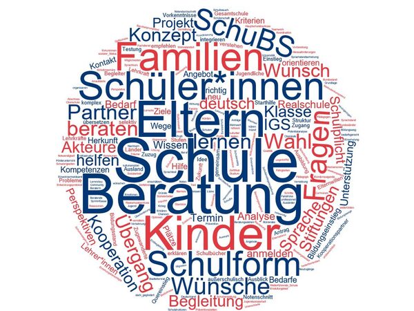 Themen, mit denen sich SchuBS befasst (Wird bei Klick vergrößert)