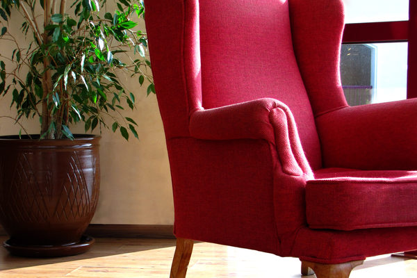 Roter Sessel mit Pflanze (Wird bei Klick vergrößert)
