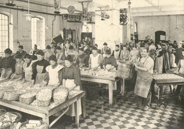 Spargelschälerinnen in der Konservenfabrik Krone&Co (Wird bei Klick vergrößert)