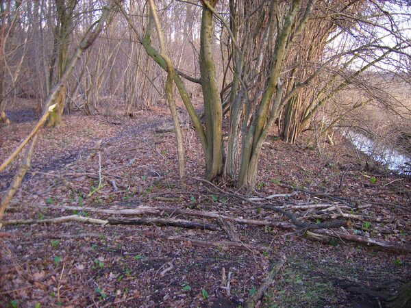 Braunschweiger Landwehr (Wird bei Klick vergrößert)