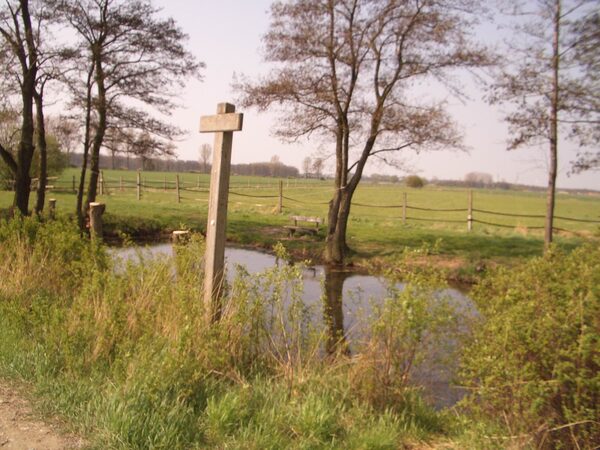 Quellteich Spring (Wird bei Klick vergrößert)