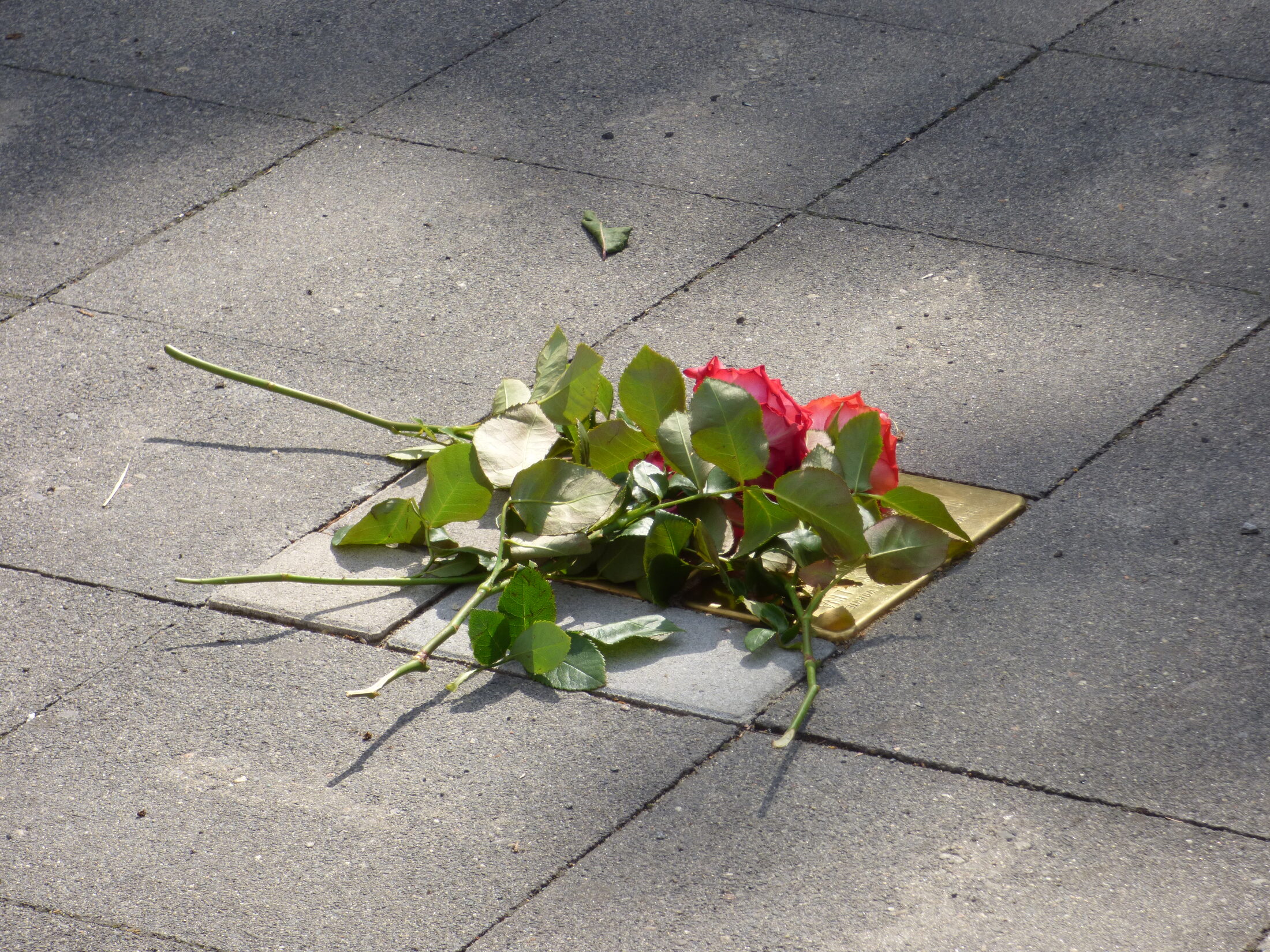 Bild von der öffentlichen Würdigung am 06.07.2015 (Wird bei Klick vergrößert)