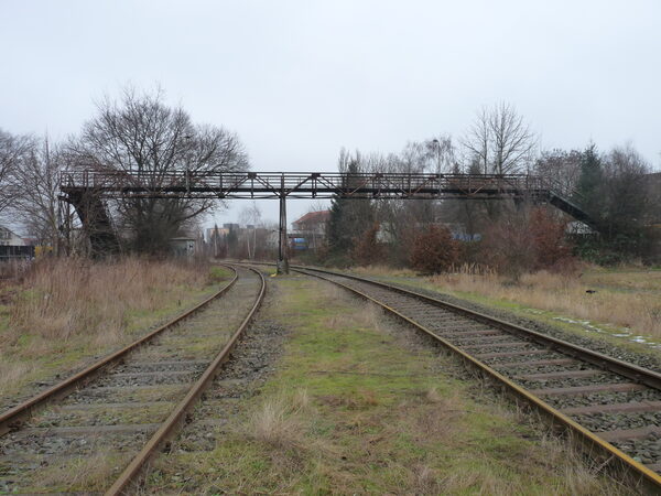 Fußgängerbrücke im Nordpark 2014 (Wird bei Klick vergrößert)