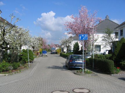 Frühling in Querum (Wird bei Klick vergrößert)