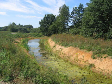 Burgwall (Wird bei Klick vergrößert)