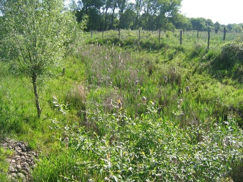 Sandbach am Borwall bei Querum (Wird bei Klick vergrößert)