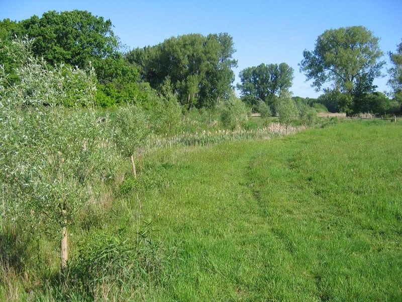 Sandbach am Borwall bei Querum (Wird bei Klick vergrößert)