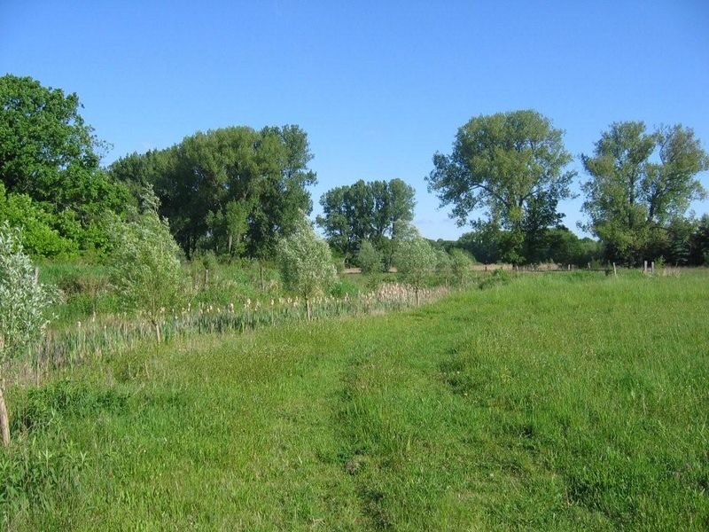 Sandbach am Borwall bei Querum (Wird bei Klick vergrößert)