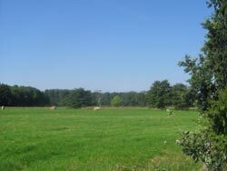 Ausflugsziel bei Schapen (Wird bei Klick vergrößert)