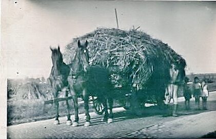 Auf dem Feldweg aus Richtung Groß Gleidingen (Wird bei Klick vergrößert)