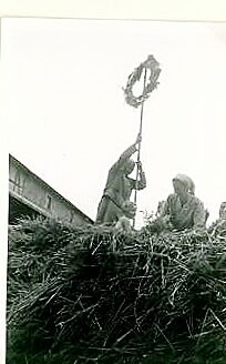 Erntesymbole Erntekrone für den Hausherrn Erntekranz für den Verwalter (Wird bei Klick vergrößert)