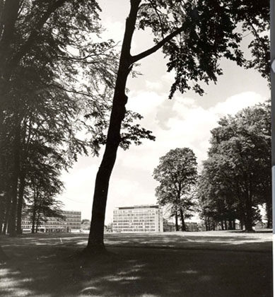 Viewegs Garten 1962 (Wird bei Klick vergrößert)