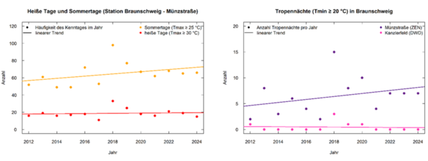 Anzahl der Sommertage und heißen Tage an der Messstation in der Münzstraße und Tropennächte im Vergleich der Stationen Münzstraße und Kanzlerfeld pro Jahr für 2012-2024. Die eingezeichneten Geraden zeigen den linearen Trend über die Zeit an. (Wird bei Klick vergrößert)