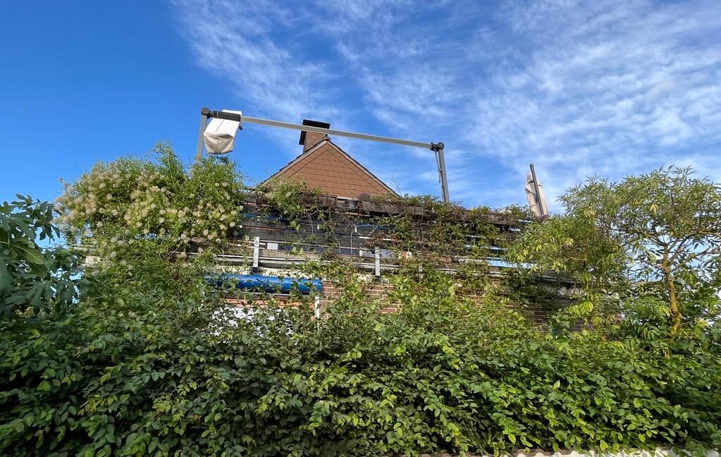 Ein Haus ist von allen Seiten mit Kletterpflanzen bewachsen. (Wird bei Klick vergrößert)