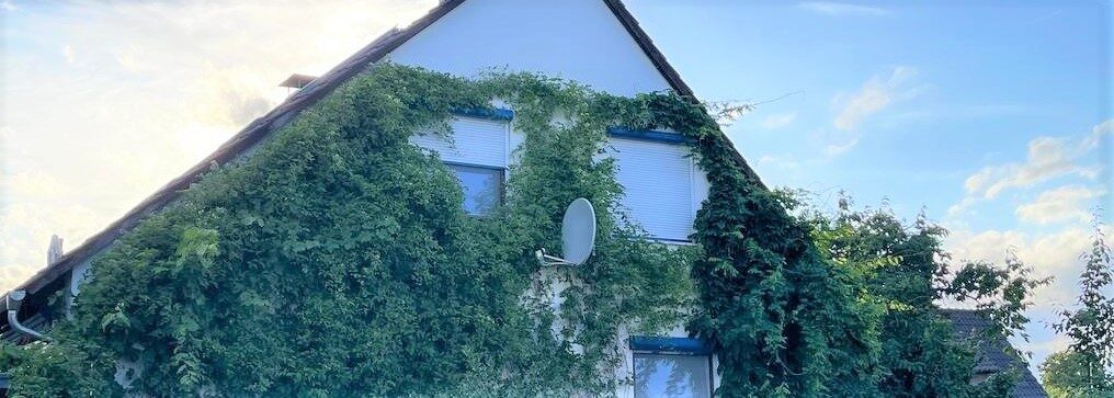An einem Einfamilienhaus ist die Fassade mit Kletterpflanzen bewachsen.