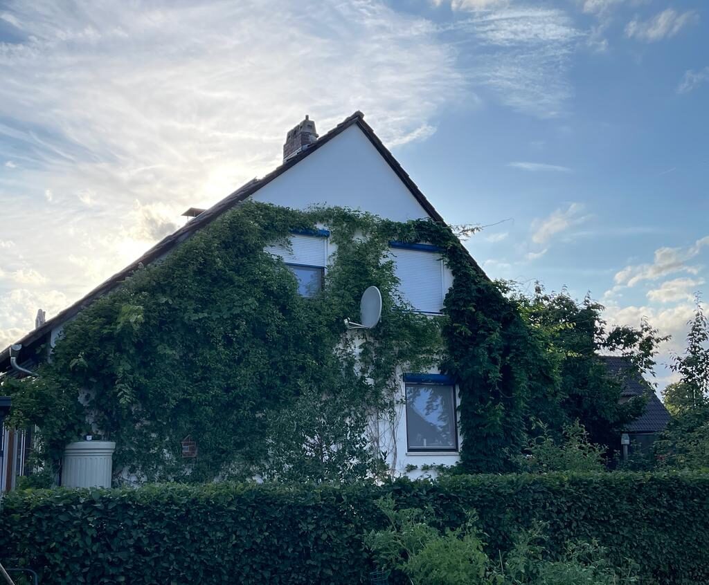 Mit Kletterpflanzen bewachsene Hausfassade. (Wird bei Klick vergrößert)