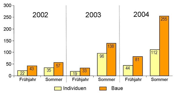 Säulengrafik Bauverteilung und Anzahl 2002-2004 im Baugebiet Lammer Busch. (Wird bei Klick vergrößert)
