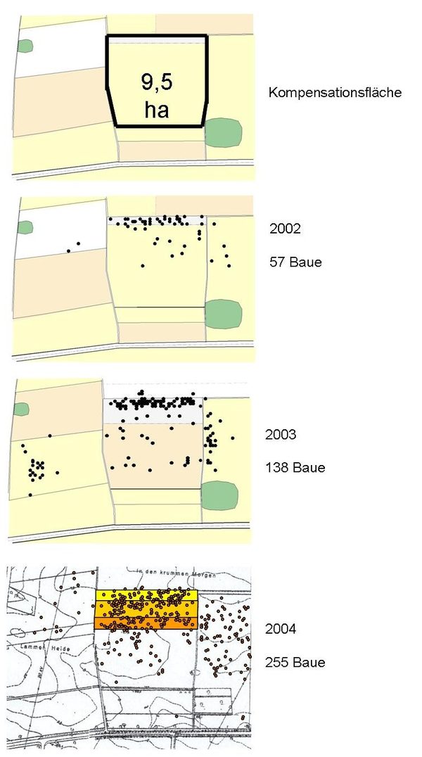 Grafik mit Verteilung der Baue im Baugebiet Lammer Busch. (Wird bei Klick vergrößert)