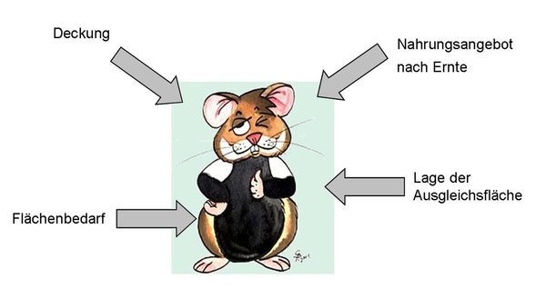 Grafik mit Hamster und verschiedenen Faktoren, die auf den Hamster einwirken (Pfeile). (Wird bei Klick vergrößert)