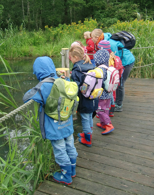 Kinder können im Naturschutzgebiet viel entdecken