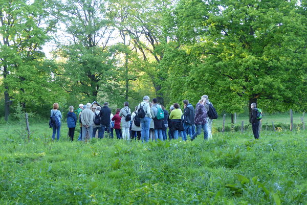 Eine Personengruppe steht auf einer Wiese vorm Wald.