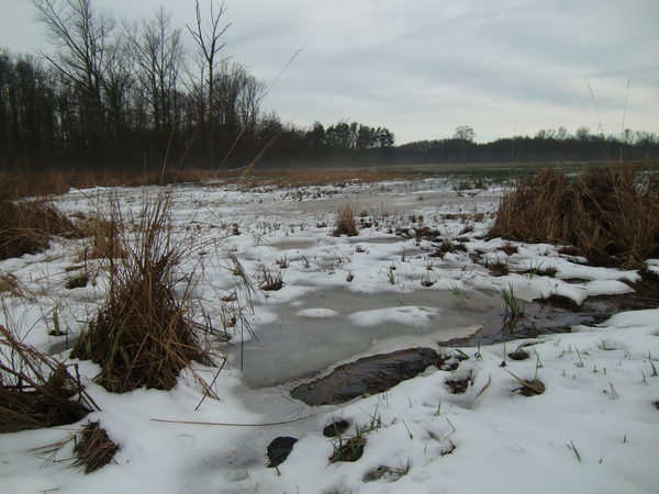 Zugefrorene Teich mit Schnee in Riddgashausen.
