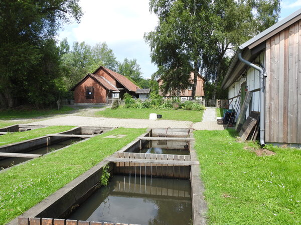 Becken für die Fischzucht an den Riddagshäuser Teichen.