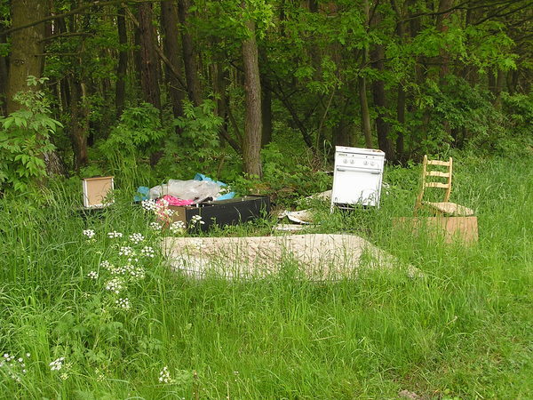 Müll liegt auf einer Wiese am Waldrand.