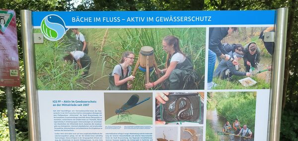 Lehrtafel Mittelriede - Aktiv im Gewässerschutz