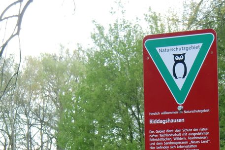 Vor einem Wald steht das Schutzgebietsschild für das Naturschutzgebiet Riddagshausen.