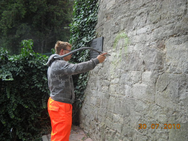 Reinigungsarbeiten an der historischen Stadtmauer (Wird bei Klick vergrößert)