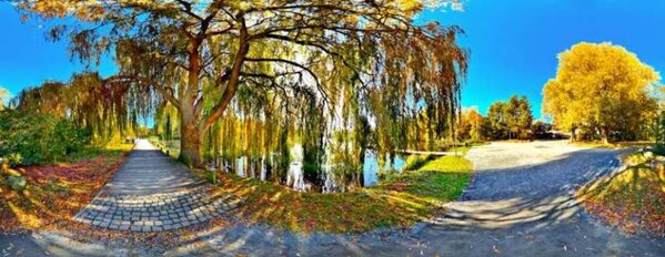 Herbst in Braunschweig (Wird bei Klick vergrößert)