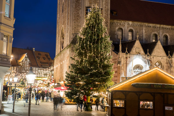 Die große Tanne am Domplatz stammte in diesem Jahr aus einem Garten in der Braunschweiger Südstadt. Mit rund 20.000 Lichtern geschmückt war er einer der großen Hingucker für die Gäste des Weihnachtsmarktes. (Wird bei Klick vergrößert)