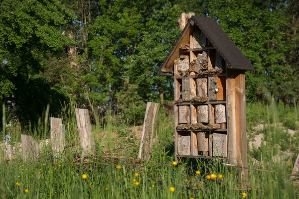 Im Naturschutzgebiet Riddagshausen gibt es sie bereits: Wildbienenhotels. Besucherinnen und Besucher des 2. Blumenmarkttages erfahren, wie sie sich ein Wildbienenhotel für ihren eigenen Garten bauen können. (Wird bei Klick vergrößert)